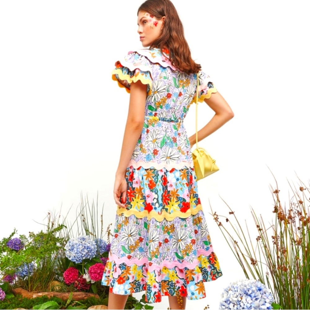 CeliaB Olav Dress size Small NWT - Picture 3 of 6